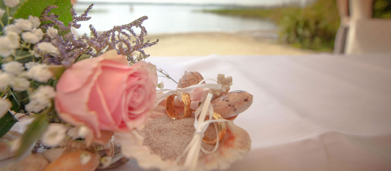 Ihr Hochzeitsplaner! Machen Sie Ihre Traumhochzeit mit My Wedding Berlin zu einem unvergesslichen Event.